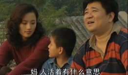 平淡生活电视剧,平凡人生中的温暖与感动